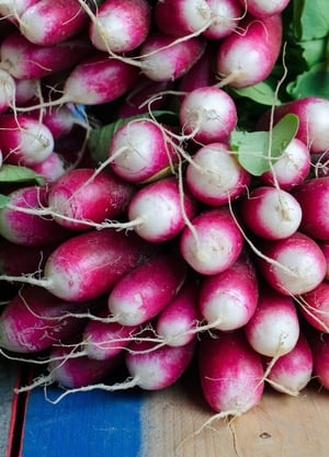 keto radish