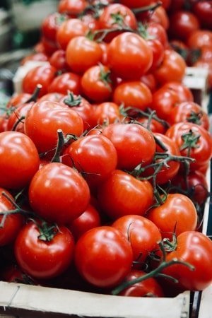 tomatoes low carb