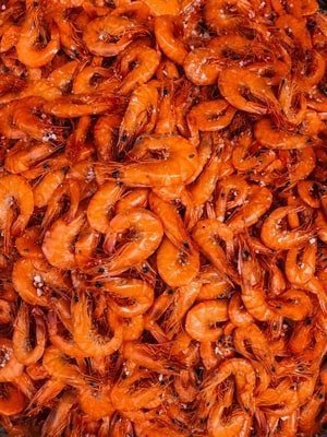shrimp low carb