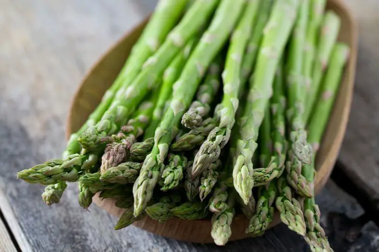 asparagus calories