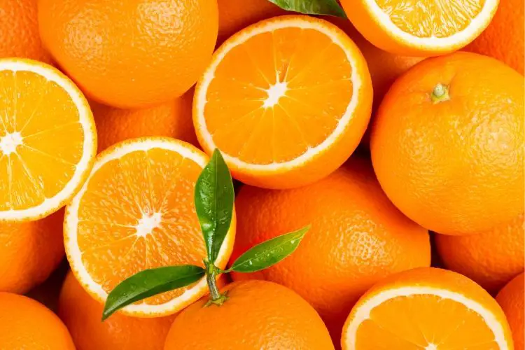 carbs in orange