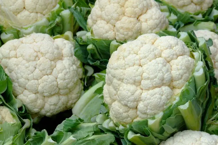 cauliflower calories