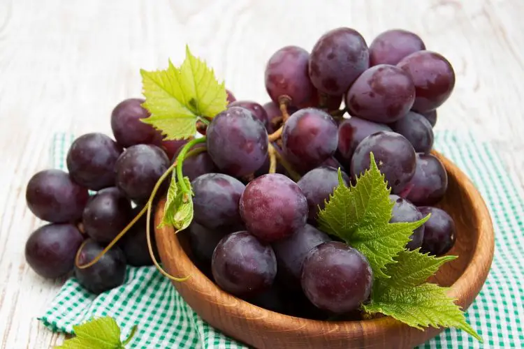 grapes carbs