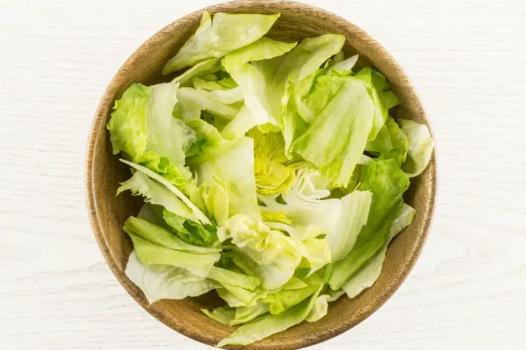 lettuce in bowl calories