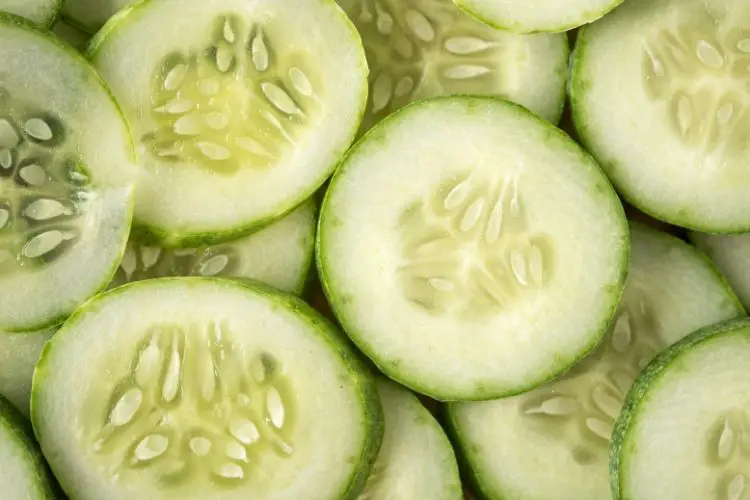 cucumbers carbs