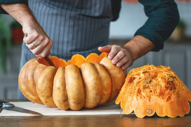pumpkin calories