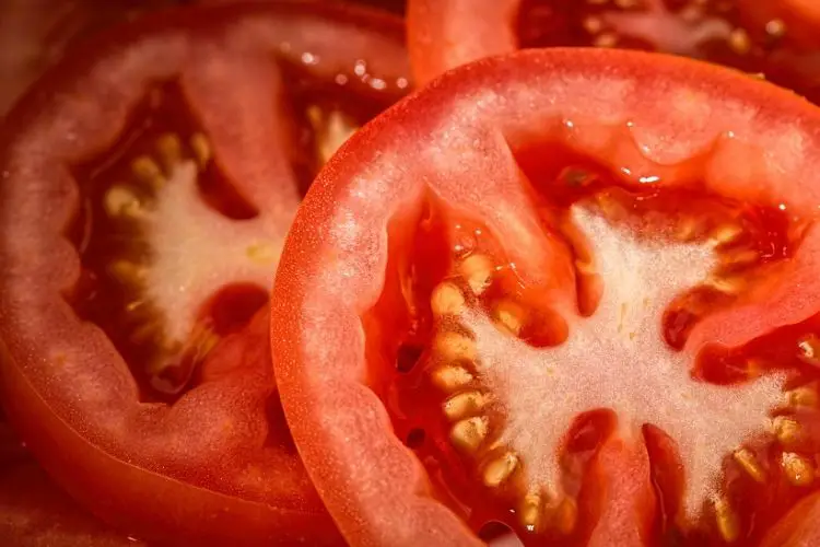 tomatoes carbs
