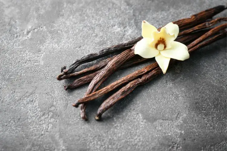 vanilla keto