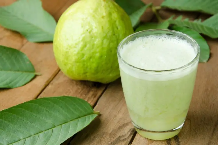 guavas calories