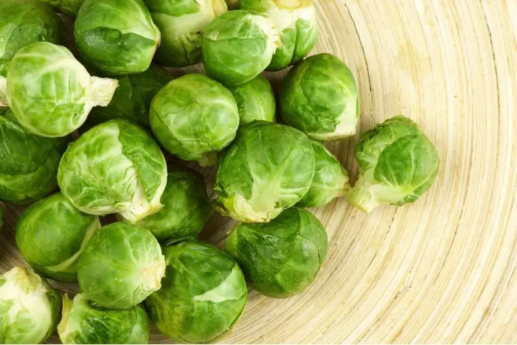 brussel sprouts carbs