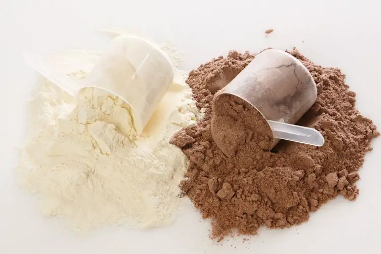 protein powder calories