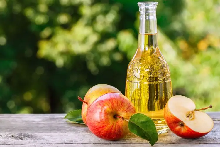 apple cider vinegar keto