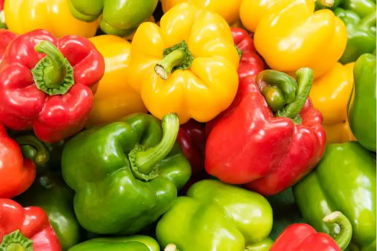 bell peppers keto