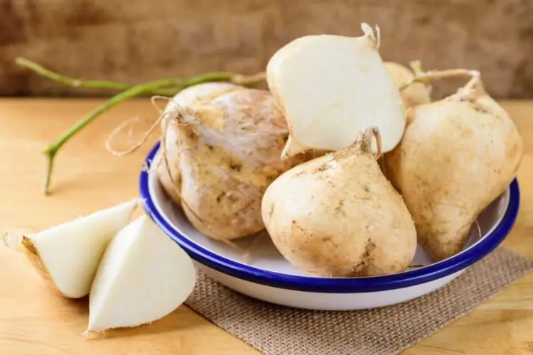 calories in jicama