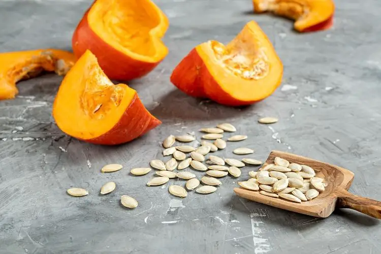 calories pumkin seeds