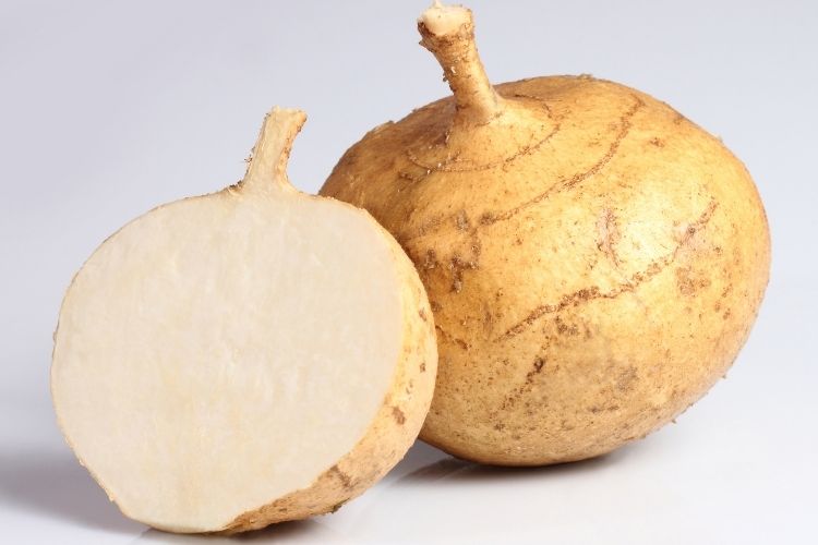 jicama calories and nutrition facts