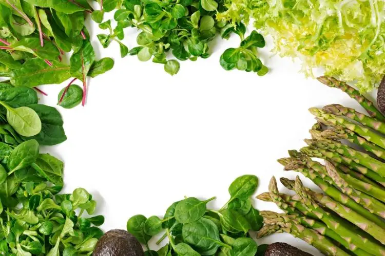 Best Veggies for Your Keto Diet