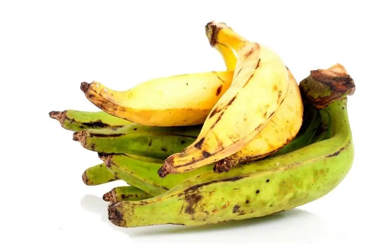 plants keto