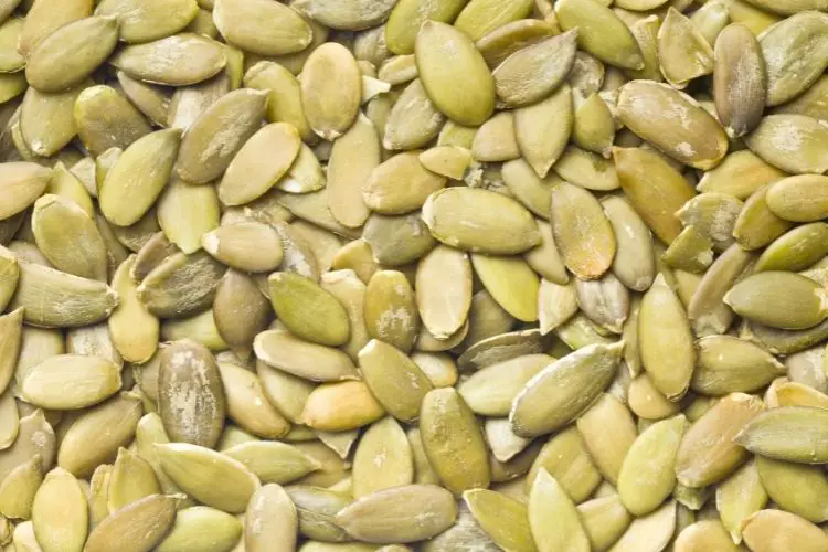 pumkin seeds calories