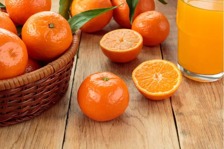 eat clementines GI