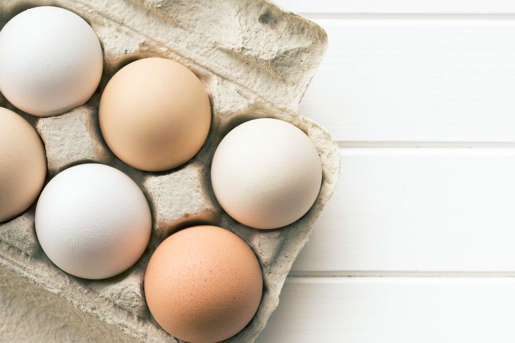 eggs calories based on sizes