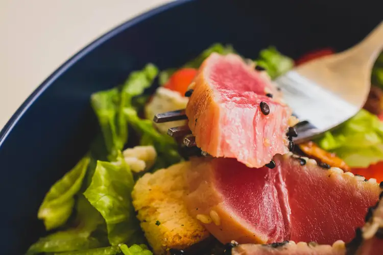 carbs in tuna