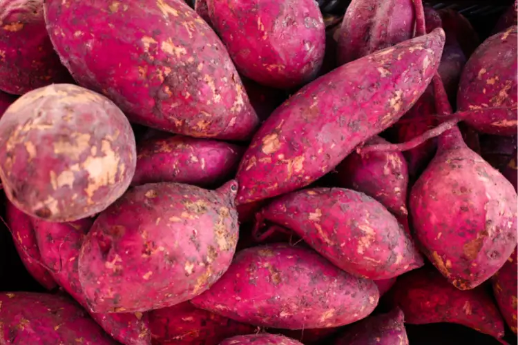calories in sweet potatoes