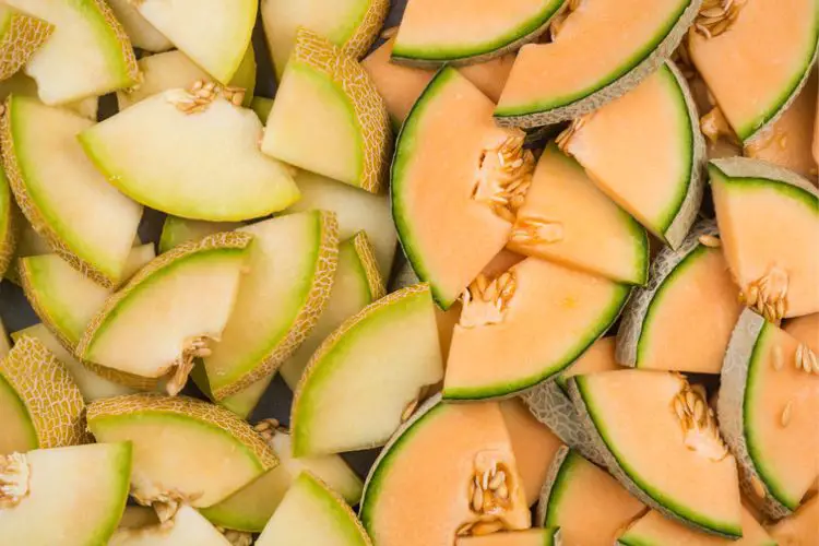carbs in honeydew