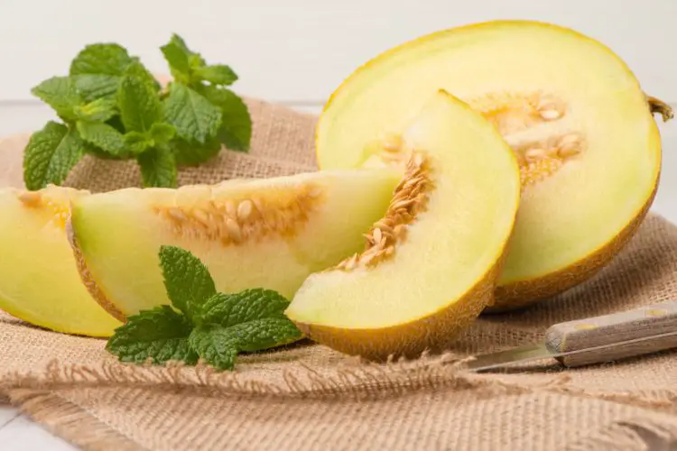 honeydew melon calories