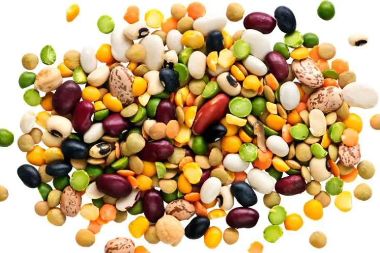 Low Carb Bean Alternative Your Full Guide about Beans